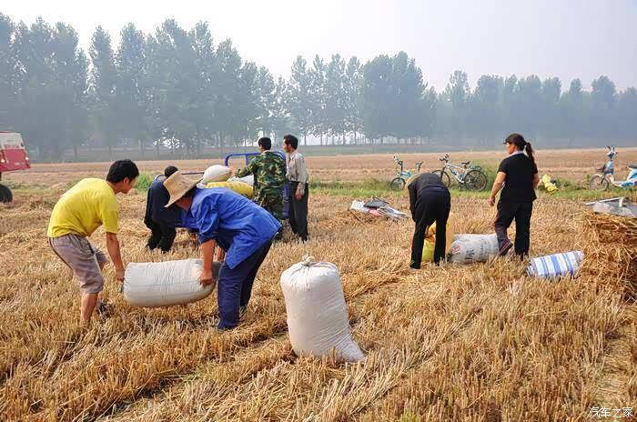 开着我的t5哥回家帮父母收麦子
