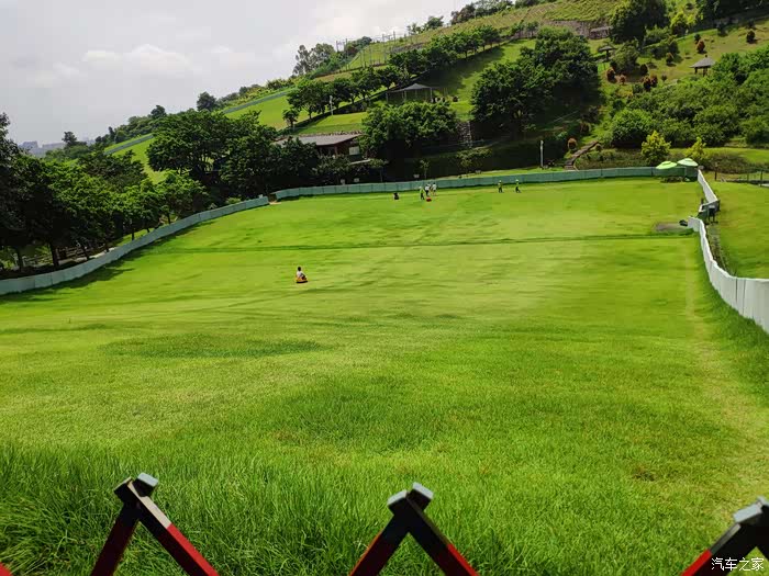 据说这是华东最大的滑草场.