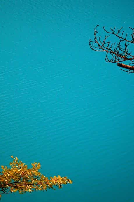 平平静静,快快乐乐.心安,那也便是活着的最美好状态.