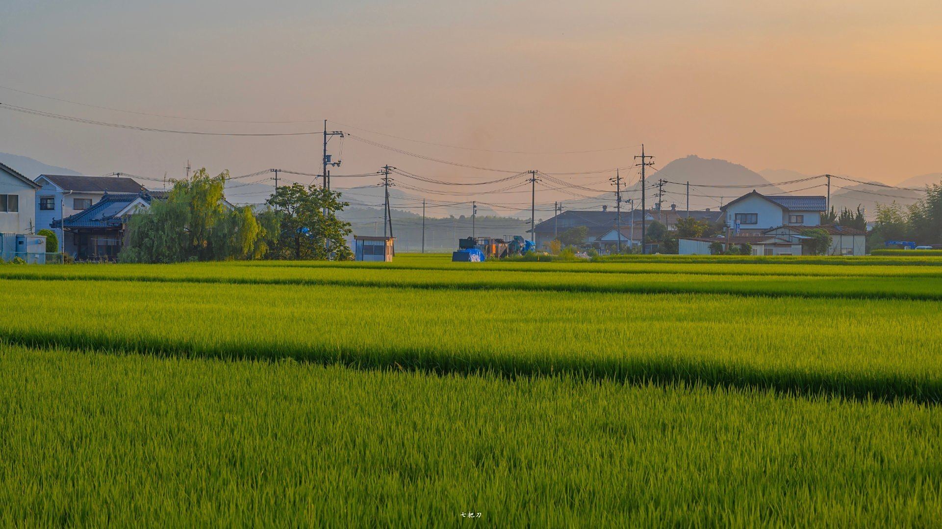 美麗的田野景色,特別的愜意