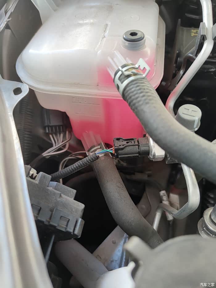 【图】卡罗拉双擎防冻液_卡罗拉论坛_汽车之家论坛