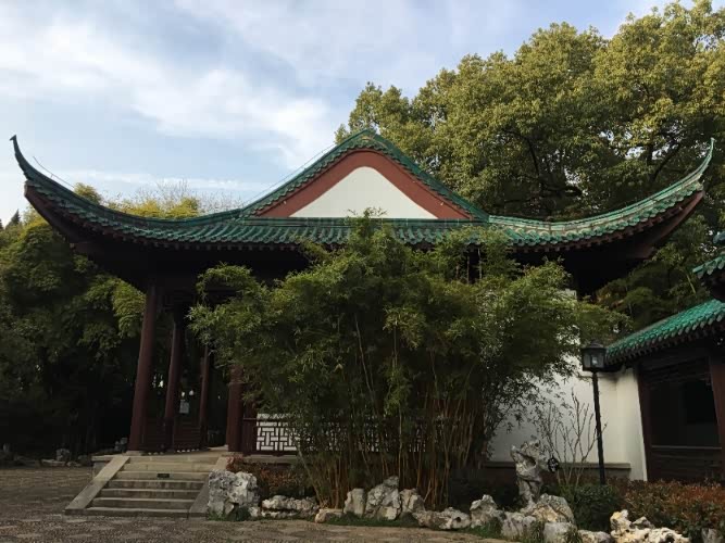 周末午后游苍柏园