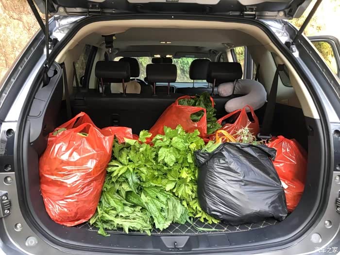 先看下我的成绩,小欧的超大后备箱!