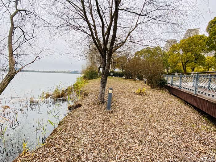 街拍我心爱的75p天朗气清惠风和煦