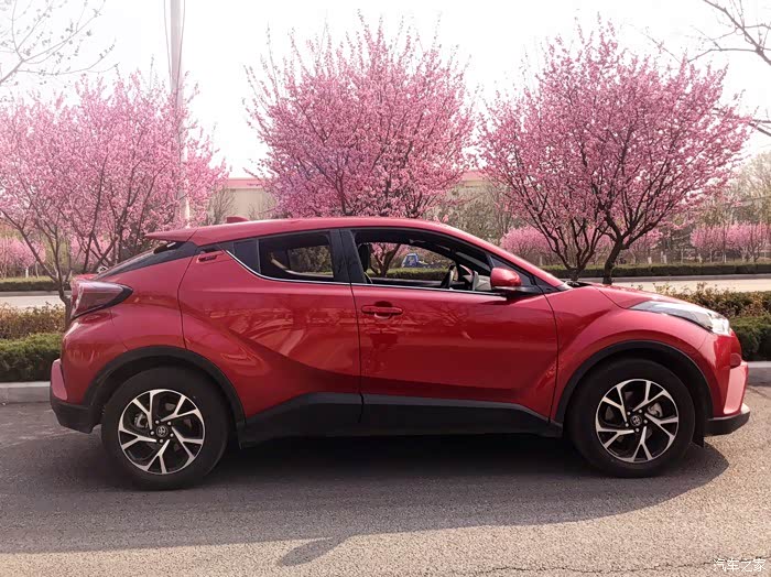 【图】春暖花开之初恋粉色系_丰田c-hr论坛_汽车之家论坛