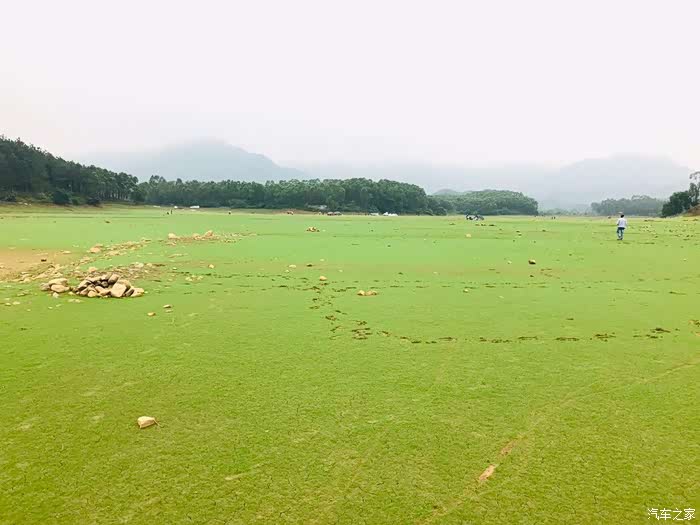 探寻大隆洞湿地公园