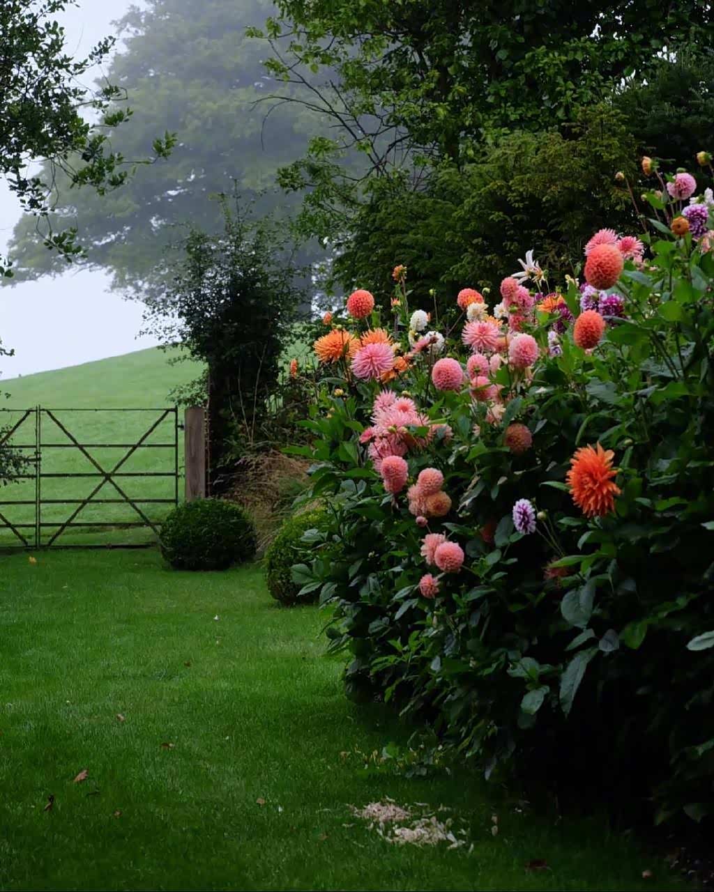 旅行中清新的后花园,有这不一样的美