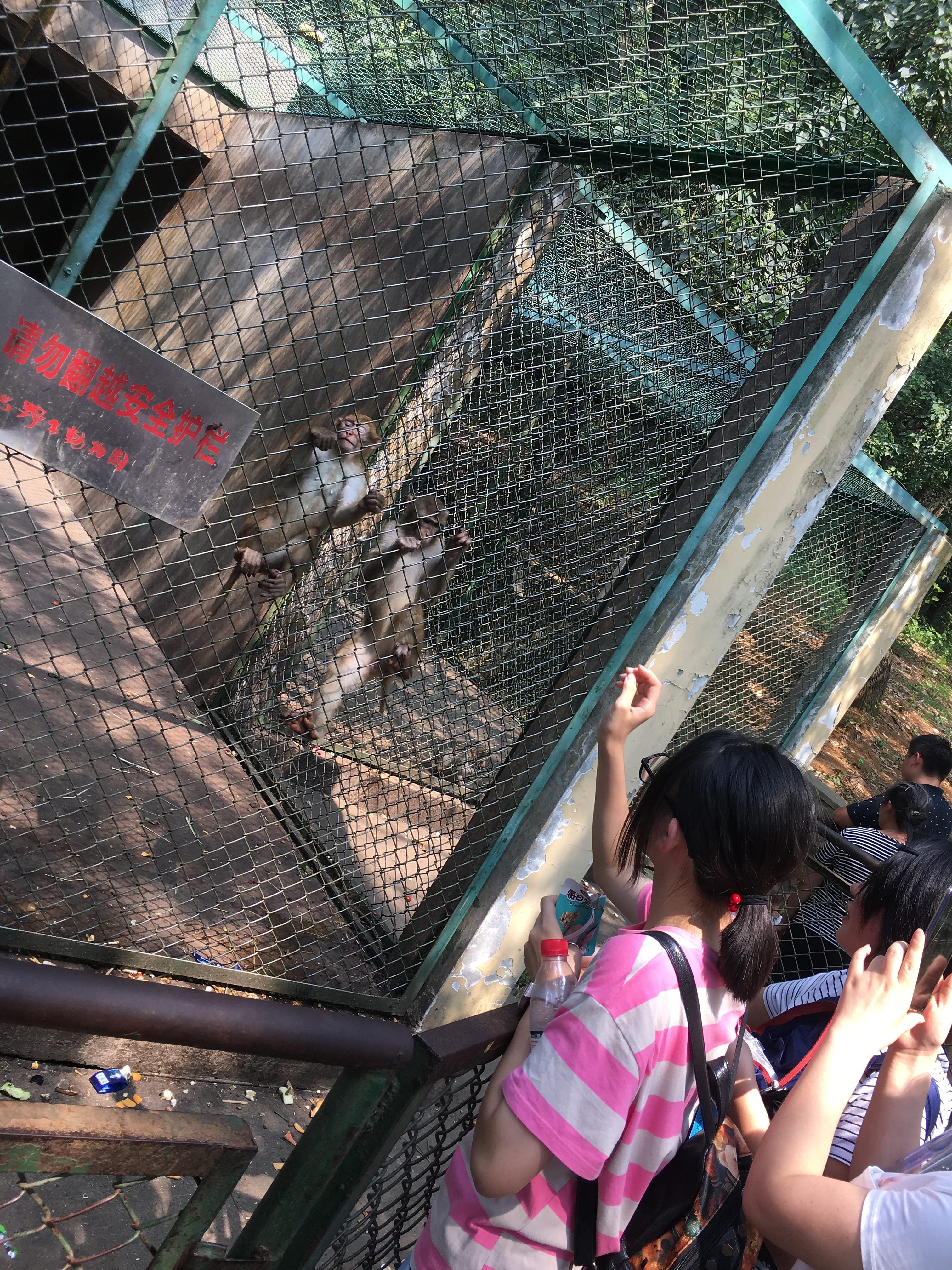 逛逛合肥野生動物園,歸來看看限量版哈弗f7