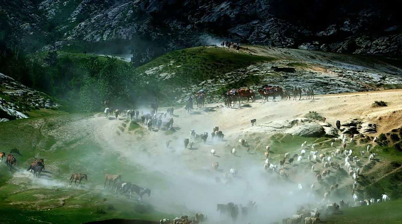 人间仙境伊犁的部落迁徙,壮观!唯美