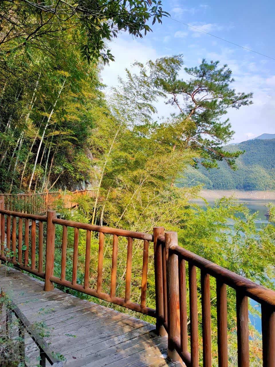 宁波四明山深处茅镬古树林!