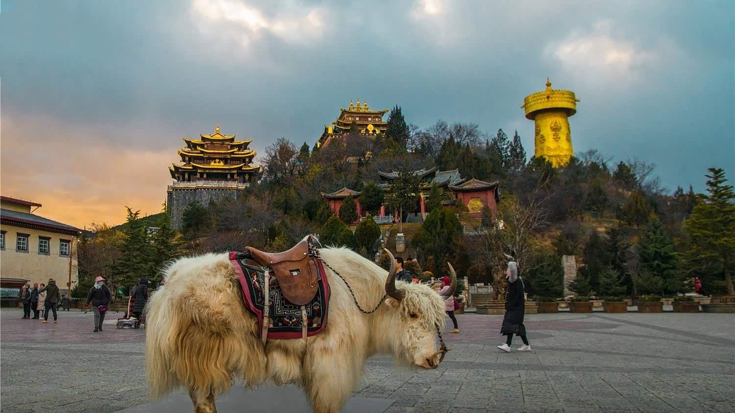 云南香格里拉,最美的地方.
