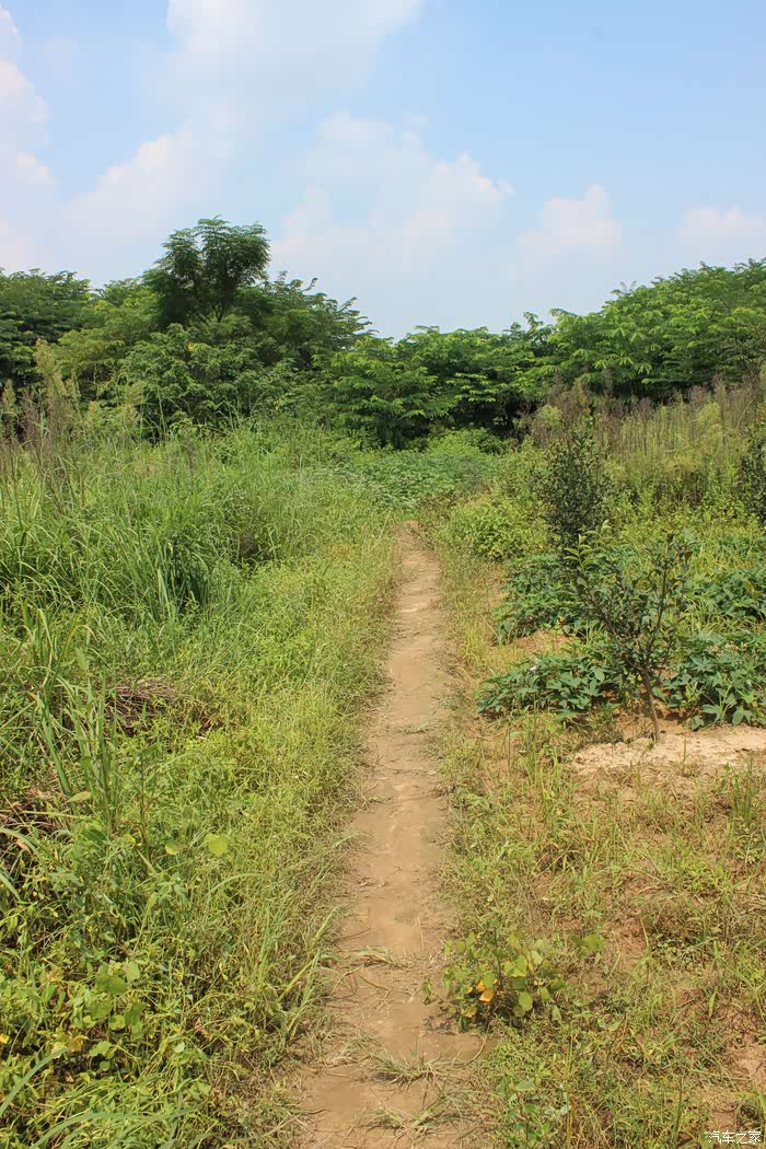 日上三竿,乡村户外钓鱼记