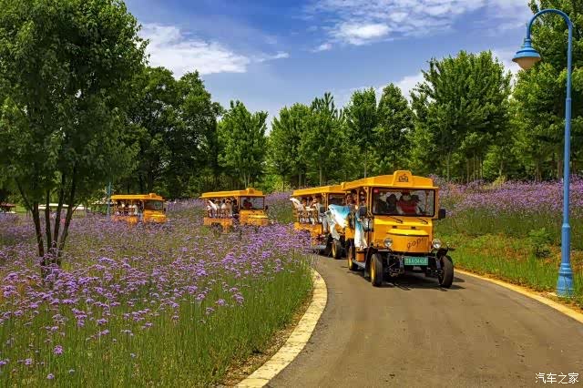 告别2021枫彩漫城