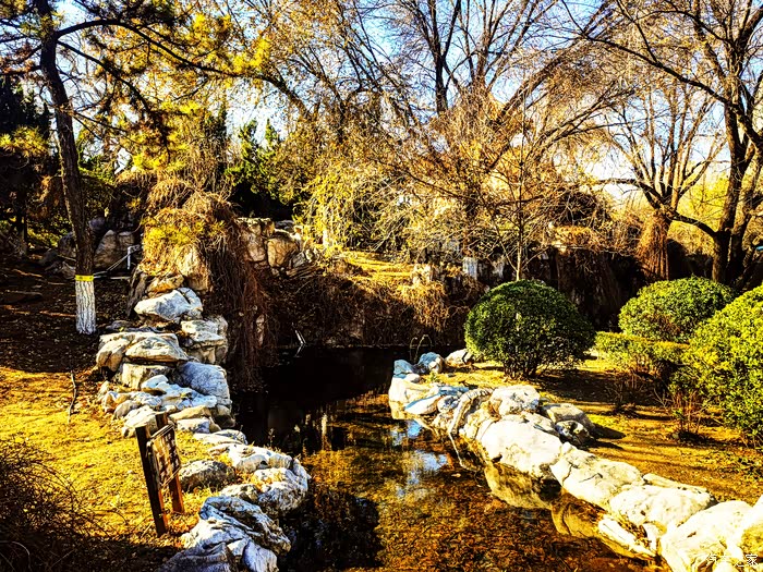 狂欢十二月休闲东苑公园