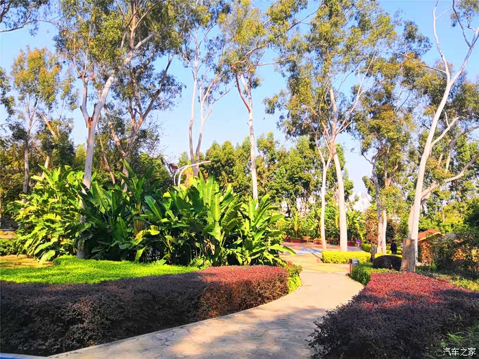 最爱醉爱森林公园喜爱绿植和童趣忠仑公园