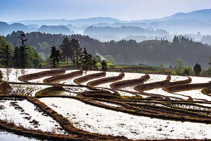 人车生活秀出爱车名字跟小三一起去旅行之重庆盐井梯田