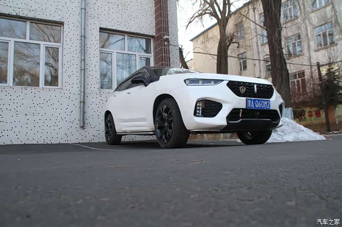 【图】宾县路上巧遇雾凇奇观_wey vv7论坛_汽车之家论坛