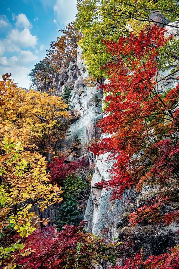 金秋时节,五彩斑斓的世界,如画如醉.