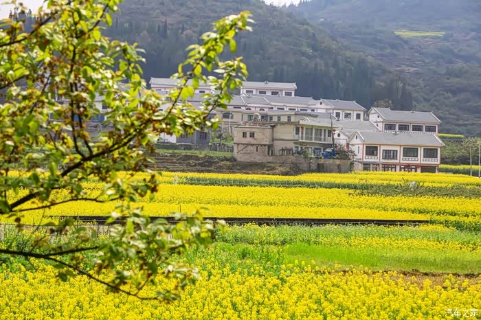 哈弗陪同走进下麦城布依