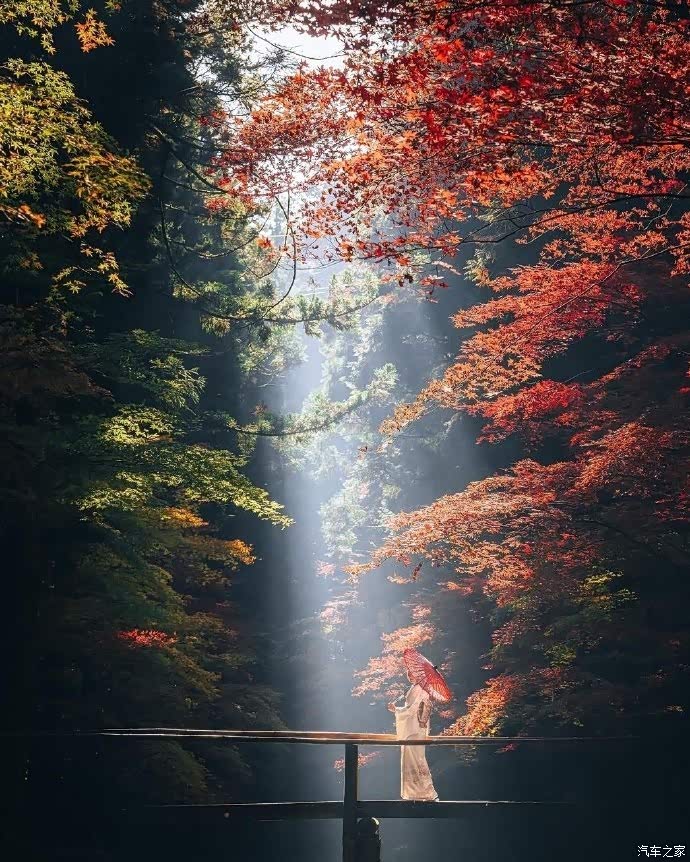 福莱尔论坛_汽车之家论坛