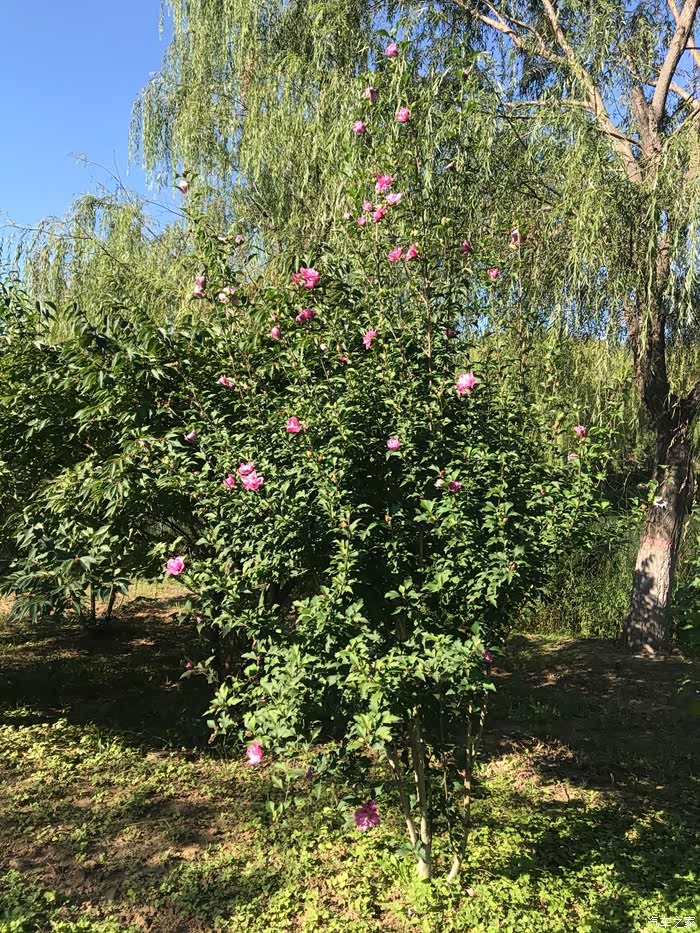 带着家人与天籁一起探秘龙翔湖