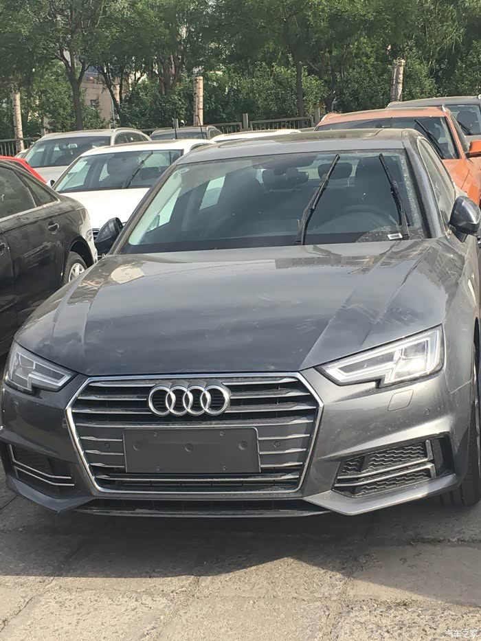 喜欢季风灰的来