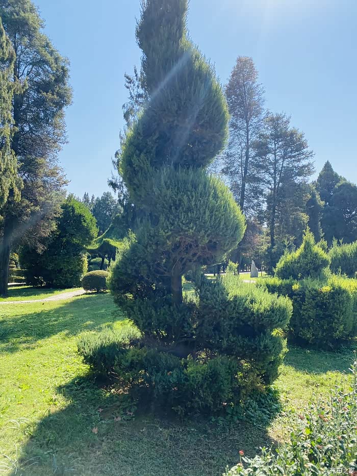 年末福利大反馈蓍草园