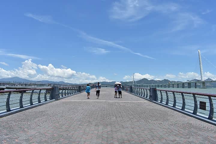 游观桥公园美景赏雄伟跨海大桥