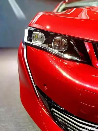 来看獠牙雄狮!(多图)_标致408论坛_手机汽车之家