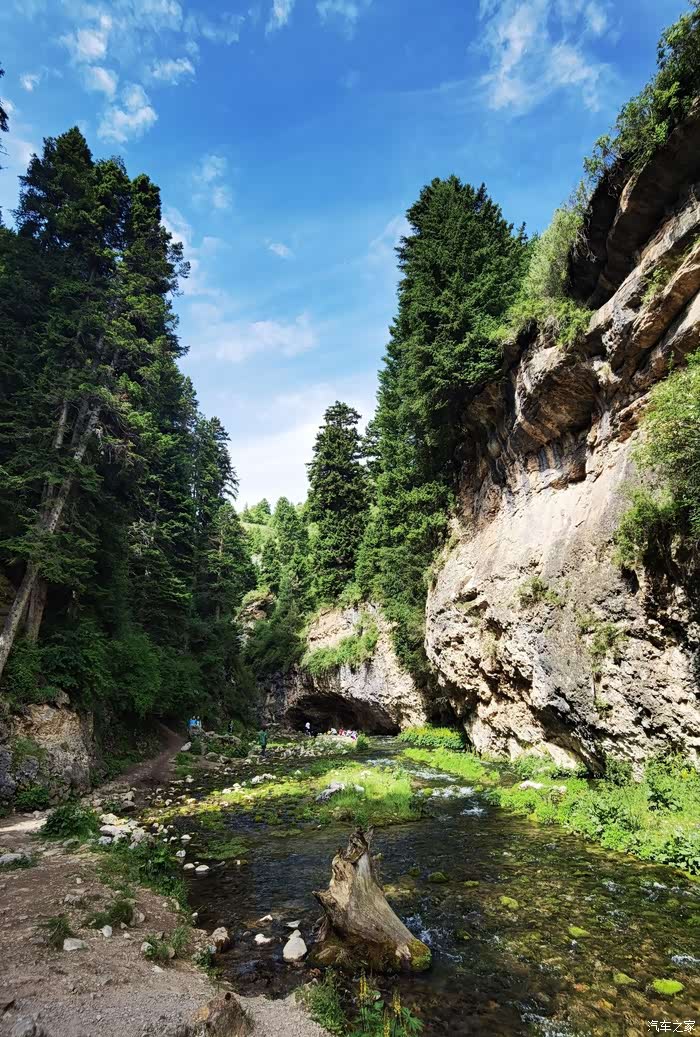 【年末福利大反馈】白龙江大峡谷