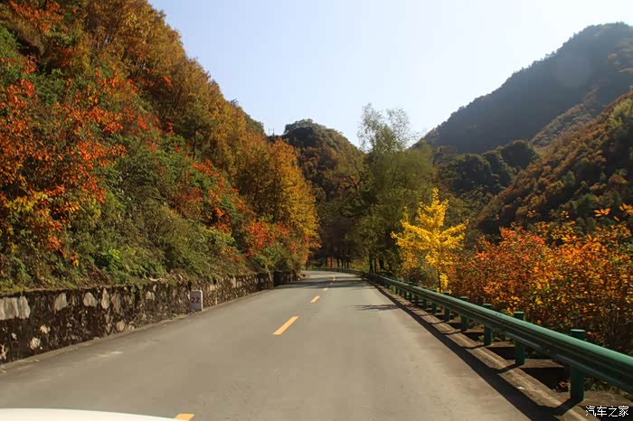 秦岭秋色自驾游高江路太洋公路2021年10月