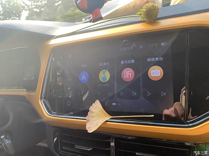 和小铠的悠然时光趁秋意正浓时我们一起漫步共赏