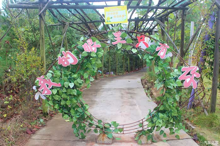 回忆旧时光畅游宝葫芦农庄