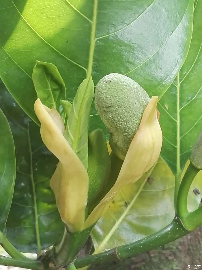 驾mux游川桂黔滇