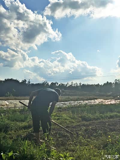 【欢天喜地迎新春】鞭炮响,满地红,絮絮烟火,带