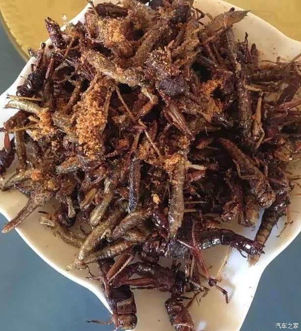 风和日丽,吃在白洋淀