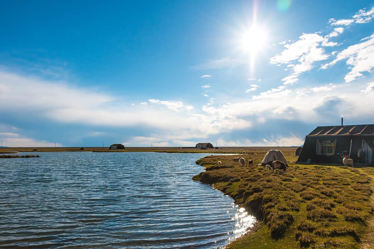 大自然是清风带着清新气息,一片美丽风光,阳光普照,风光无限好