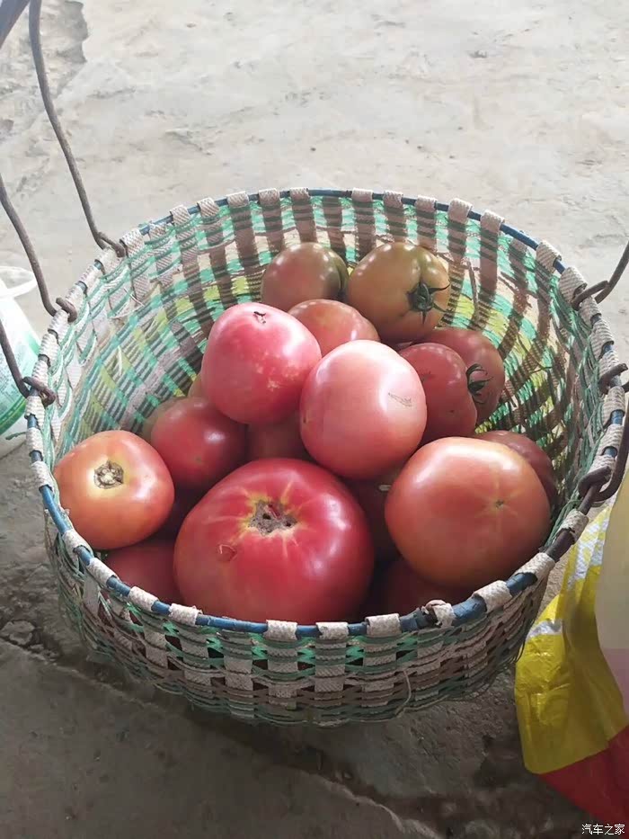 不好好亲近一下大自然都对不起这个端午节