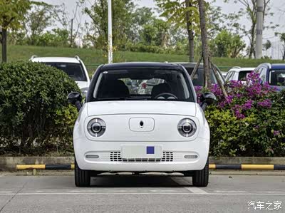 图 萌萌的可爱"熊猫",欧拉r1的外观我喜欢!