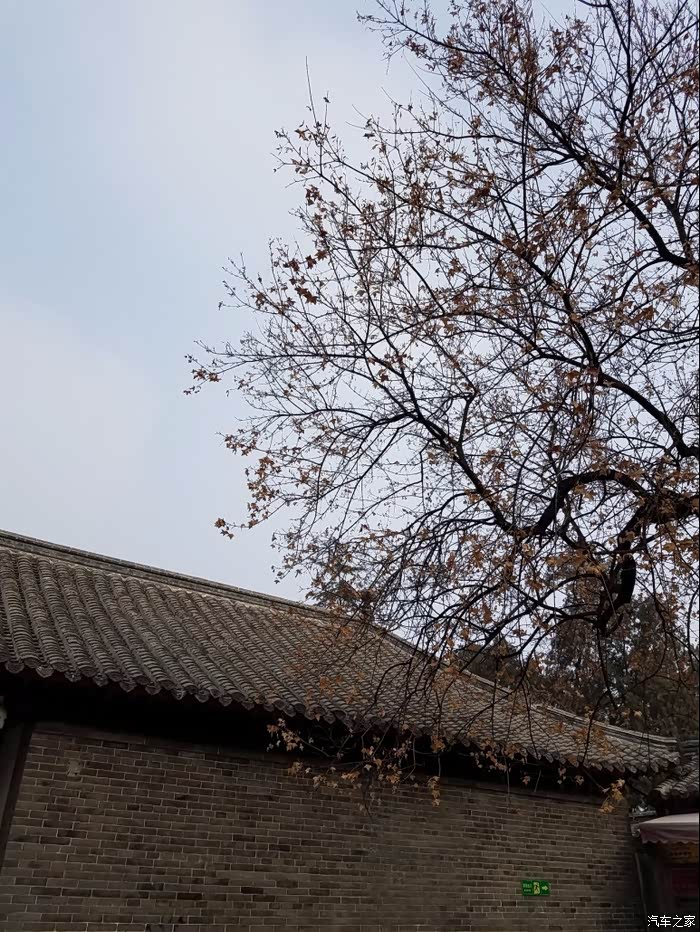 【 曲阜 】冬山如睡 古曲幽幽