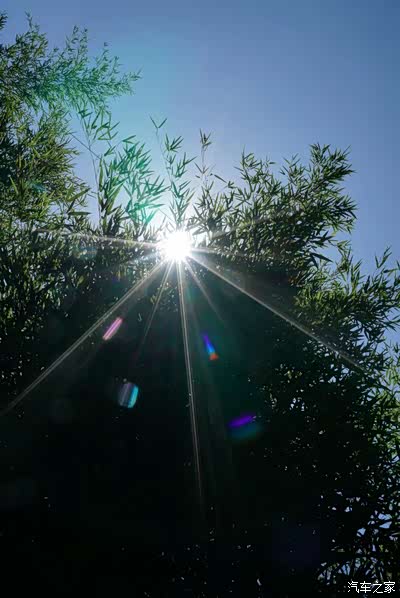 夏日的阳光虽然刺眼,但让人特留恋,像钻石般的耀眼,让人浑身都
