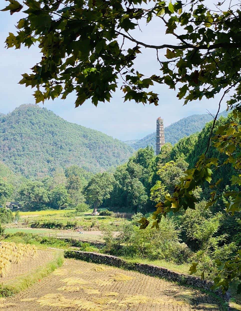 浙江台州天台山,有孟浩然笔下"息阴憩桐柏,采秀弄芝草"的韵味