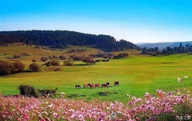 重庆巴南,武隆,涪陵纯游玩攻略