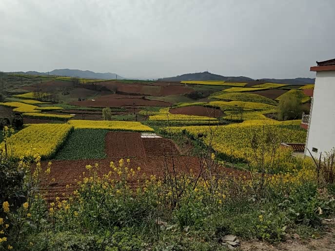 牛头坡人太多没上去,就跑到下赵村看去了,还行.