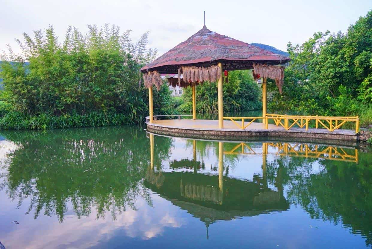 金林水乡,一个梦中的地方!