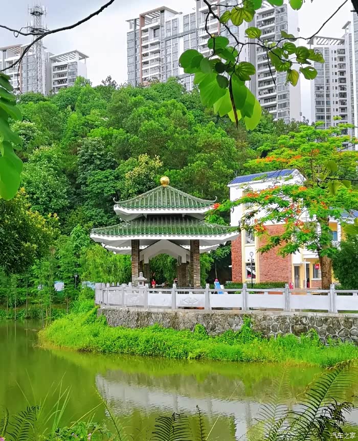 江门第四大绿肺丰乐公园