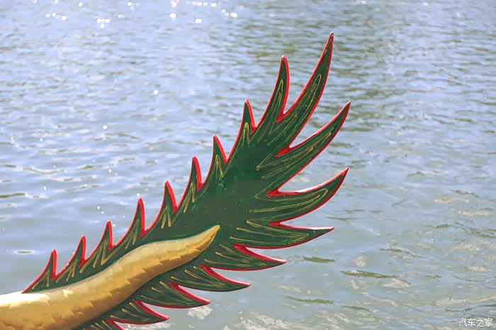 塞纳河上竞风彩 我和小七赛龙舟