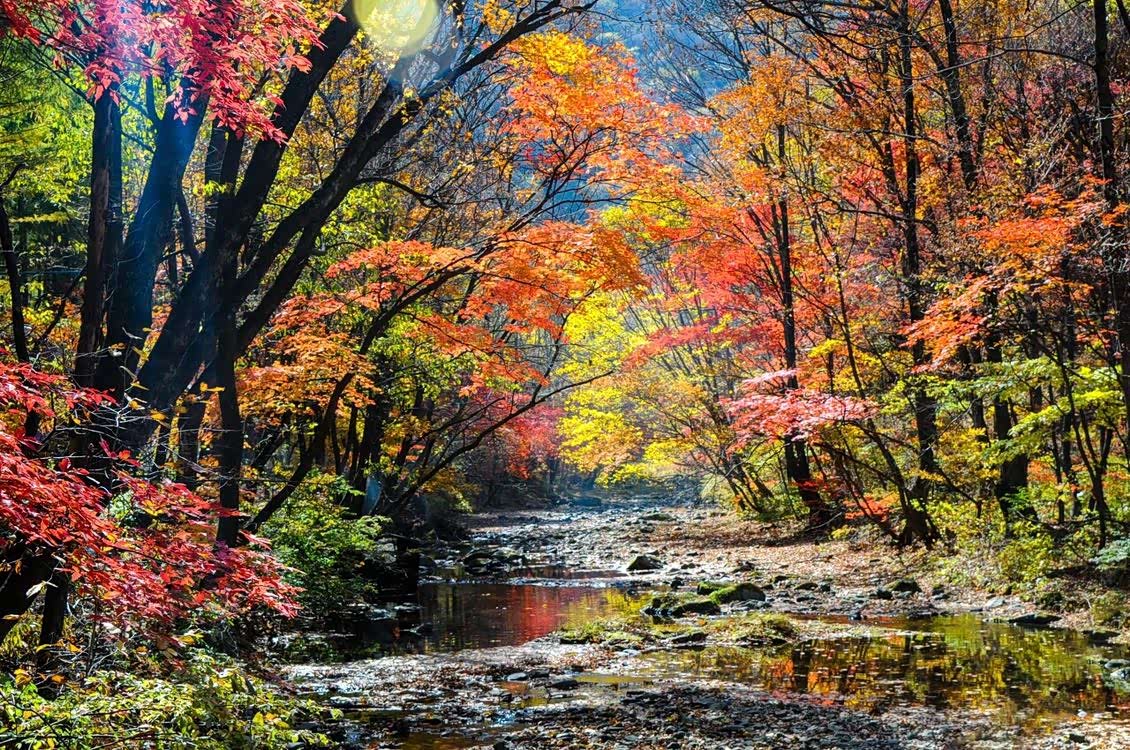 金秋时节,五彩斑斓的世界,如画如醉.