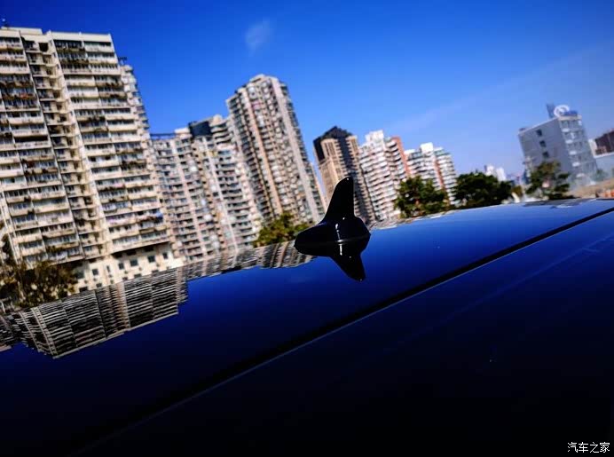 扮猪吃老虎 大众带字幕