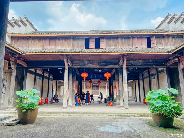 小高打卡诸暨十四都荷花世界